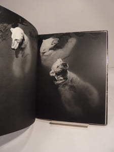 Des Bêtes... photographiées par Ylla. Texte de Jacques Prévert.