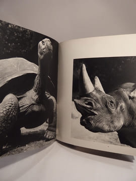 Des Bêtes... photographiées par Ylla. Texte de Jacques Prévert.. YLLA, PREVERT (Jacques)