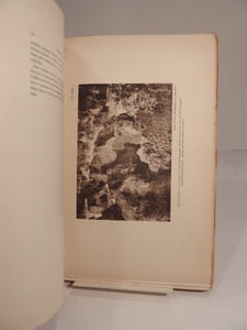 Exposition coloniale internationale Paris 1931 : Indochine française : Le Tonkin.