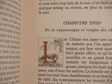 Livre du Roi Charles de la Chasse Royale. Illustrations de André Marchand gravées sur vois par Gilbert Poilliot. Préface de Charles Hallo.. CHARLES, ...