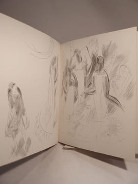 Tableau de la Mode, par Georges-Armand Masson. Illustré de vingt et une gravures à l'eau-forte et de onze lithographies en couleurs par Marcel ...