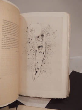 La Légende des Sexes. Poëmes hystériques. Illustré d'une aquarelle originale et de seize pointes sèches. [ENRICHI DE:] Suite complète de 12 ...