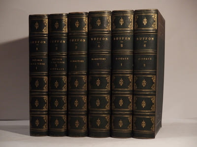 Oeuvres complètes de Buffon, avec des Extraits de Daubenton et la Classification de Cuvier. Tome 1 : Matières générales, Théorie de la Terre. T2 : Minéraux. T3 : Mammifères. T4 : Mammifères. T5 : Oiseaux. T6 : Oiseaux.