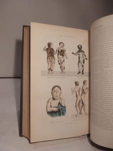 Oeuvres complètes de Buffon, avec des Extraits de Daubenton et la Classification de Cuvier. Tome 1 : Matières générales, Théorie de la Terre. T2 : Minéraux. T3 : Mammifères. T4 : Mammifères. T5 : Oiseaux. T6 : Oiseaux.