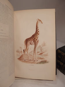 Oeuvres complètes de Buffon, avec des Extraits de Daubenton et la Classification de Cuvier. Tome 1 : Matières générales, Théorie de la Terre. T2 : Minéraux. T3 : Mammifères. T4 : Mammifères. T5 : Oiseaux. T6 : Oiseaux.