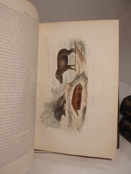 Oeuvres complètes de Buffon, avec des Extraits de Daubenton et la Classification de Cuvier. Tome 1 : Matières générales, Théorie de la Terre. T2 : ...