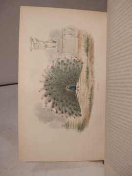 Oeuvres complètes de Buffon, avec des Extraits de Daubenton et la Classification de Cuvier. Tome 1 : Matières générales, Théorie de la Terre. T2 : ...