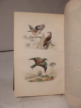 Oeuvres complètes de Buffon, avec des Extraits de Daubenton et la Classification de Cuvier. Tome 1 : Matières générales, Théorie de la Terre. T2 : ...
