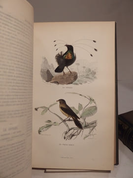 Oeuvres complètes de Buffon, avec des Extraits de Daubenton et la Classification de Cuvier. Tome 1 : Matières générales, Théorie de la Terre. T2 : ...