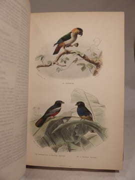 Oeuvres complètes de Buffon, avec des Extraits de Daubenton et la Classification de Cuvier. Tome 1 : Matières générales, Théorie de la Terre. T2 : ...