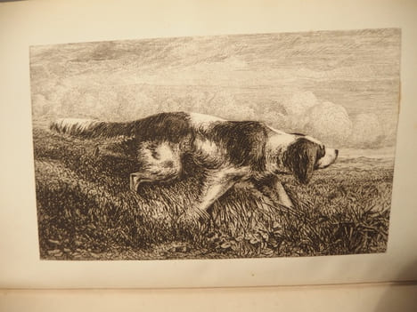 Manuel du chasseur au chien d'arrêt, suivi de La Loi sur la chasse. CUREL (Léonce de)