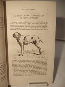 Nouveau Traité des chasses, à courre et à tir