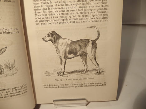 Nouveau Traité des chasses, à courre et à tir. LAGE DE CHAILLOU (Baron de), LA RUE (Alphonse de), CHERVILLE (Marquis de)