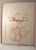 Iconographie pathologique de l'oeuf humain fécondé. En rapport avec l'étiologie de l'avortement. MARTIN SAINT-ANGE (Gaspard, Joseph)