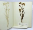 Flora Helvetica. ANONYME