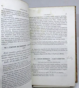 Ornithologie européenne, ou Catalogue descriptif, analytique et raisonné des oiseaux observés en Europe.