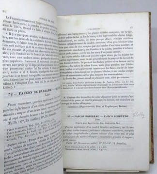 Ornithologie européenne, ou Catalogue descriptif, analytique et raisonné des oiseaux observés en Europe.. DEGLAND (C. D.), GERBE (Z.)