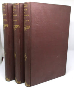 Guide théorique et pratique de l'amateur de Tableaux. Etudes sur les imitateurs et les copistes des maîtres de toutes les écoles dont les oeuvres forment la base ordinaire des galeries