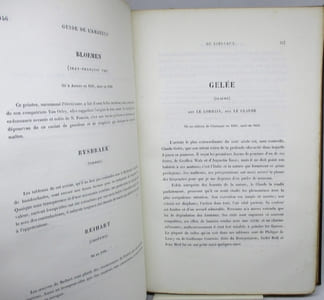 Guide théorique et pratique de l'amateur de Tableaux. Etudes sur les imitateurs et les copistes des maîtres de toutes les écoles dont les oeuvres forment la base ordinaire des galeries