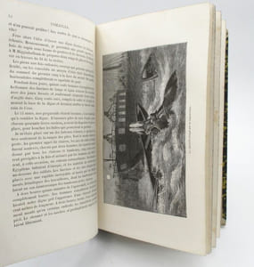 Ismailïa. Récit d'une expédition dans l'Afrique centrale pour l'abolition de la traite des noirs. Ouvrage traduit de l'anglais avec l'autorisation de l'auteur par Hippolyte Vattemare, et contenant 56 gravures et 2 cartes.