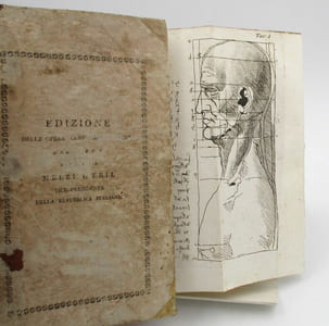 Trattato della pittura di Lionardo da Vinci