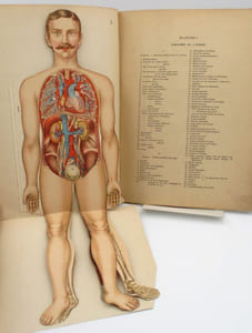 Anatomie et physiologie du corps humain. Atlas de sept planches coloriées à feuillets découpés et superposés avec notices descriptives