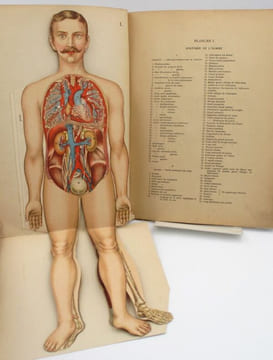 Anatomie et physiologie du corps humain. Atlas de sept planches coloriées à feuillets découpés et superposés avec notices descriptives. RABAUD ...