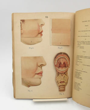 Anatomie et physiologie du corps humain. Atlas de sept planches coloriées à feuillets découpés et superposés avec notices descriptives. RABAUD ...
