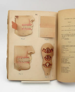 Anatomie et physiologie du corps humain. Atlas de sept planches coloriées à feuillets découpés et superposés avec notices descriptives. RABAUD ...