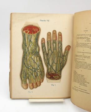 Anatomie et physiologie du corps humain. Atlas de sept planches coloriées à feuillets découpés et superposés avec notices descriptives. RABAUD ...