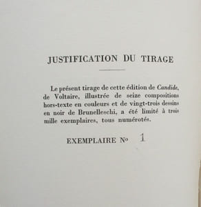 Candide ou l'optimisme