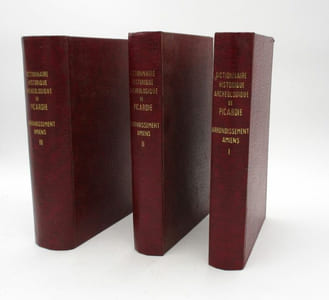 Dictionnaire historique et archéologique de la Picardie. Arrondissements d'Amiens