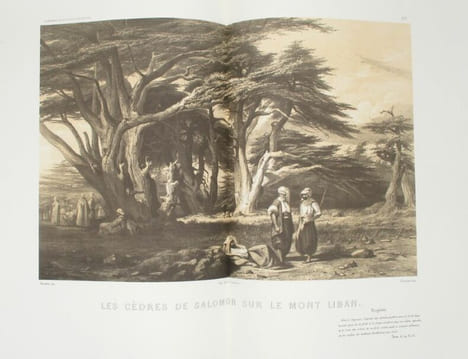 Voyage de la Syrie. Planches libanaises. LABORDE (Léon de)