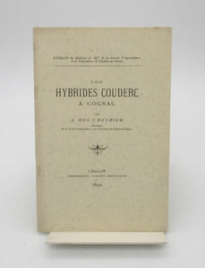 Les Hybrides Couderc à Cognac