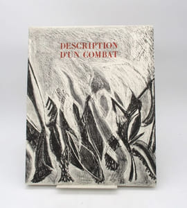 Description d'un combat