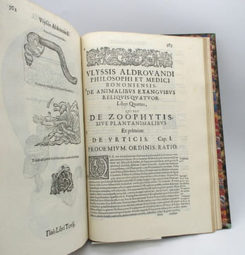 De Reliquis Animalibus exanguibus libri quatuor, post mortem eius editi : Nempè De Mollibus, crustaceis, textaceis et zoophytis. ALDROVANDI (Ulisse)
