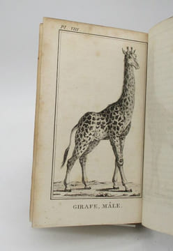 Voyage de Monsieur Le Vaillant dans l'intérieur de l'Afrique par le Cap de Bonne-Espérance dans les années 1780, 81, 82, 83, 84 & 85. LEVAILLANT ...