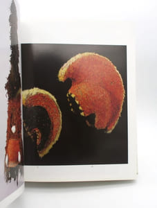 L'Art océanien