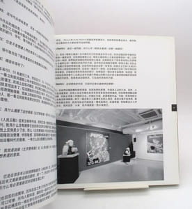 Wang Guangyi