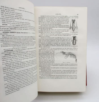 La Pêche et les Poissons - Nouveau dictionnaire général des pêches. LA BLANCHÈRE (Henri de)