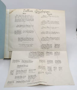 Le Titre de marquis de Flers. Plaidoiries de Me Andral pour M. le marquis Camille de Flers suivies des conclusions de M. l'avocat de la République d'Herbelot et du jugement