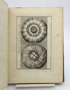 Raccolta d'Ornati d'Architettura