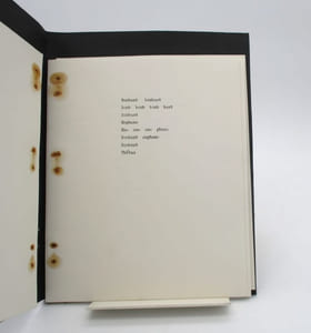 A Sound Poem Sequence