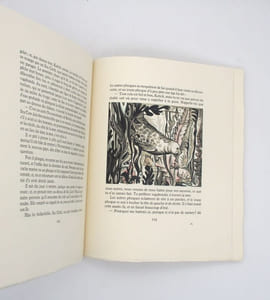 Le Livre de la jungle [et] Le Second Livre de la jungle