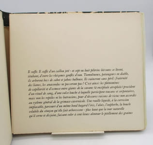 Sonora. Préambule Mimétique