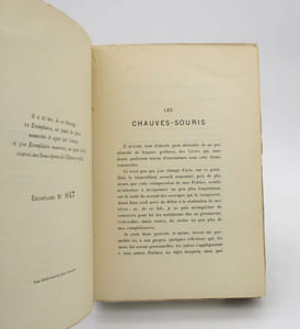 Les Chauves-souris. Clairs-obscurs