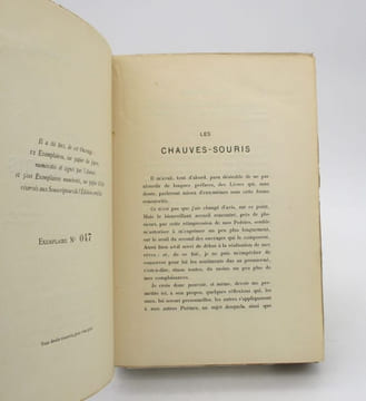 Les Chauves-souris. Clairs-obscurs. MONTESQUIOU (Robert de)
