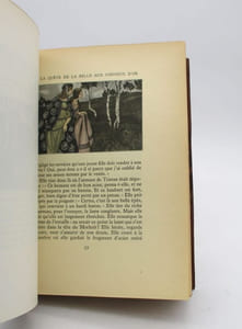 Le Roman de Tristan et Iseut
