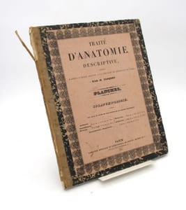 Traité d'anatomie descriptive. Splanchnologie planches