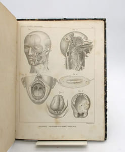 Traité d'anatomie descriptive. Splanchnologie planches